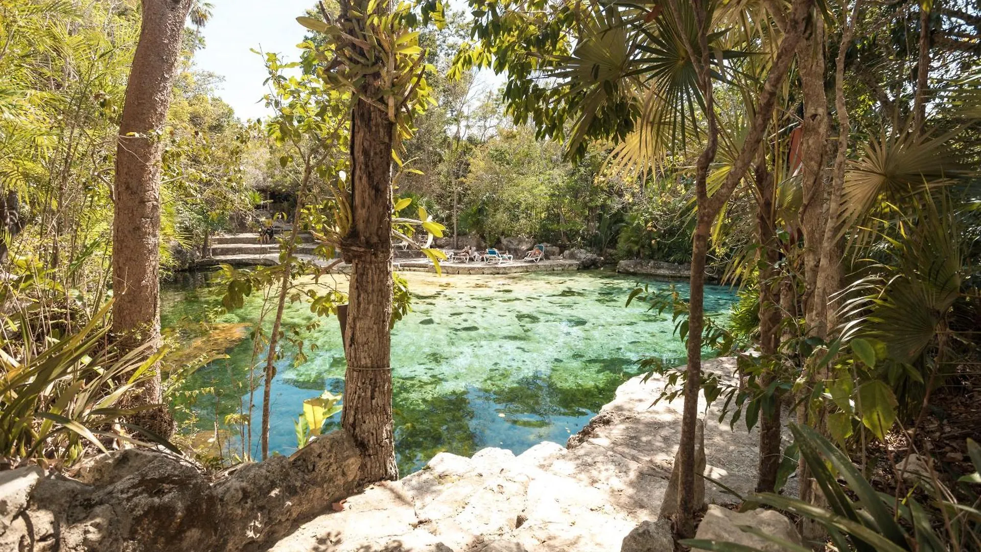 Luxe Villa In Tulum 8Bd Wi-Fi Ac Pool Gym